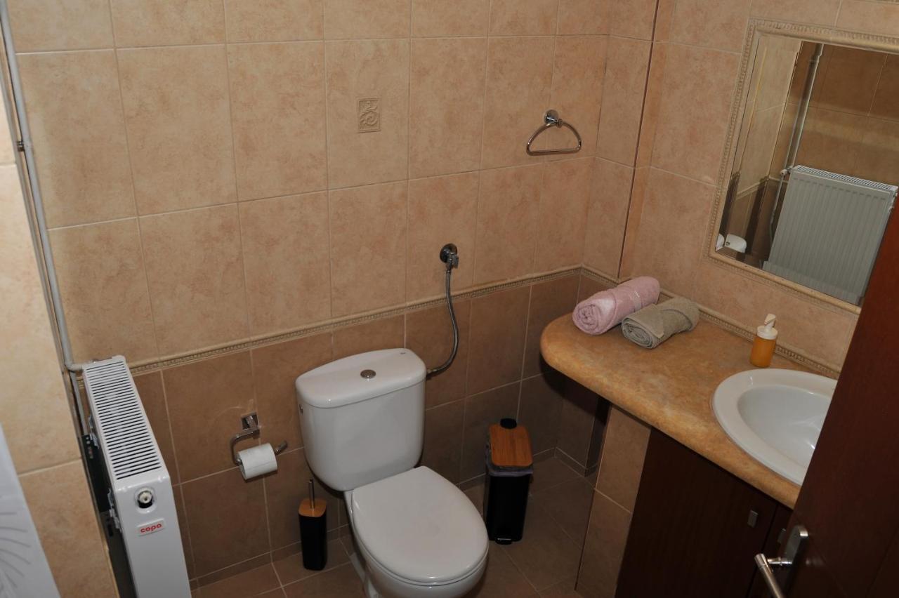 Appartement Grand House Meteora à Kalambaka Extérieur photo